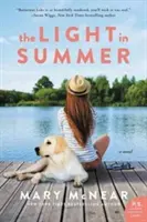 Lumina din vară: Un roman Butternut Lake - The Light in Summer: A Butternut Lake Novel