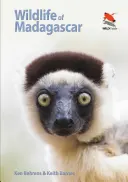 Viața sălbatică din Madagascar - Wildlife of Madagascar
