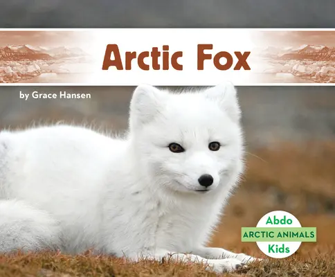 Vulpea arctică - Arctic Fox