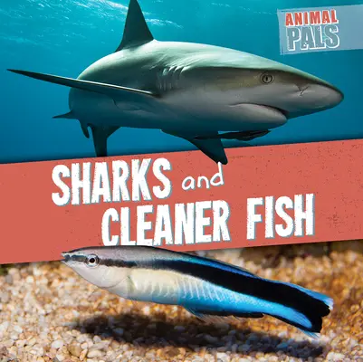 Rechini și pești mai curați - Sharks and Cleaner Fish