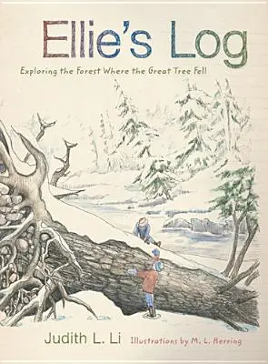 Jurnalul lui Ellie: Explorarea pădurii în care a căzut marele copac - Ellie's Log: Exploring the Forest Where the Great Tree Fell