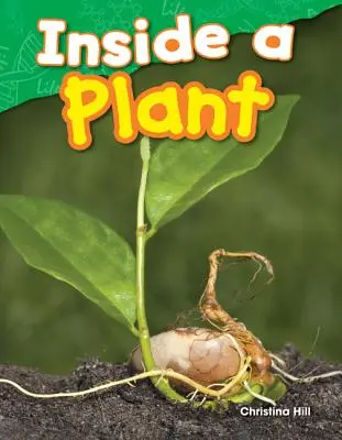În interiorul unei plante - Inside a Plant