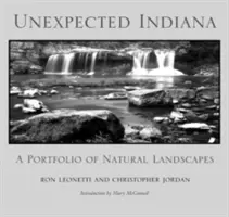 Indiana neașteptată: Un portofoliu de peisaje naturale - Unexpected Indiana: A Portfolio of Natural Landscapes