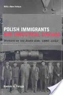 Imigranții polonezi și Chicago industrial: Muncitorii din South Side, 1880-1922 - Polish Immigrants and Industrial Chicago: Workers on the South Side, 1880-1922