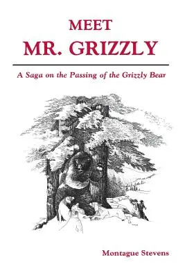 Faceți cunoștință cu domnul Grizzly - Meet Mr. Grizzly