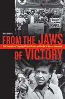 Din fălcile victoriei: Triumful și tragedia lui Cesar Chavez și a mișcării muncitorilor agricoli - From the Jaws of Victory: The Triumph and Tragedy of Cesar Chavez and the Farm Worker Movement