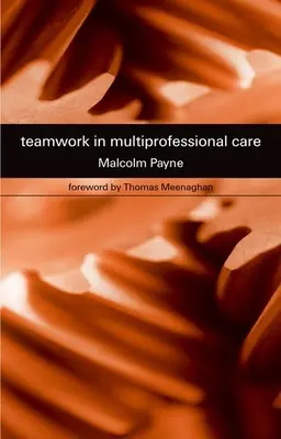 Munca în echipă în îngrijirea multiprofesională - Teamwork in Multiprofessional Care