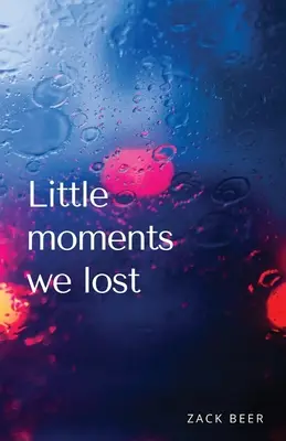 Micile momente pe care le-am pierdut - Little Moments We Lost