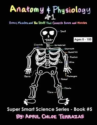 Anatomie și fiziologie Partea 1: Oase, mușchi și chestiile care leagă oasele și mușchii - Anatomy & Physiology Part 1: Bones, Muscles, and the Stuff That Connects Bones and Muscles