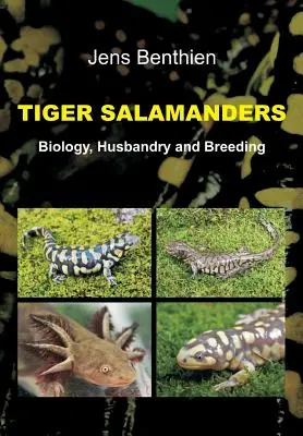 Salamandrele tigru - Tiger Salamanders