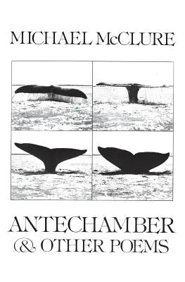 Antechamber: Și alte poeme - Antechamber: And Other Poems