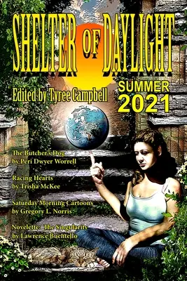 Shelter of Daylight vară 2021 - Shelter of Daylight Summer 2021