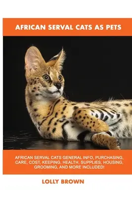 Pisicile serval african ca animale de companie - African Serval Cats as Pets