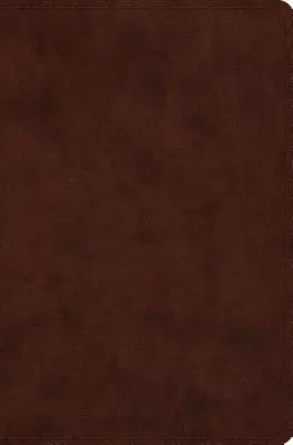 Biblie compactă-ESV - Compact Bible-ESV