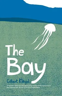 Baia - The Bay