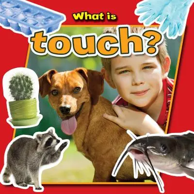 Ce este atingerea? - What Is Touch?