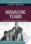 Gestionarea echipelor - Managing Teams