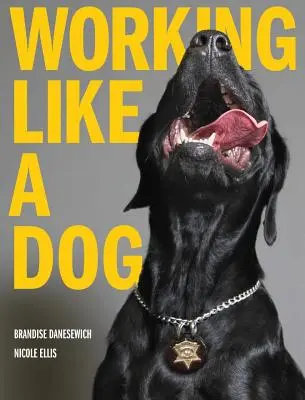Lucrând ca un câine - Working Like A Dog