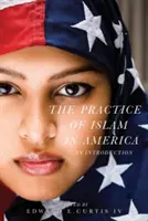 Practica islamului în America: O introducere - The Practice of Islam in America: An Introduction