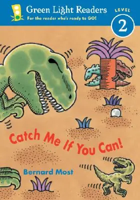 Prinde-mă dacă poți! - Catch Me If You Can!