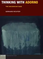 Gândind cu Adorno: privirea necoercitivă - Thinking with Adorno: The Uncoercive Gaze
