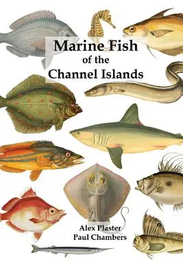 Peștii marini din insulele Canalului Mânecii - Marine Fish of the Channel Islands