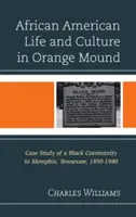 Viața și cultura afro-americană în Orange Mound: Studiu de caz al unei comunități negre din Memphis, Tennessee, 1890-1980 - African American Life and Culture in Orange Mound: Case Study of a Black Community in Memphis, Tennessee, 1890-1980