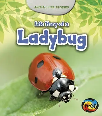 Povestea de viață a unei Buburuze - Life Story of a Ladybug