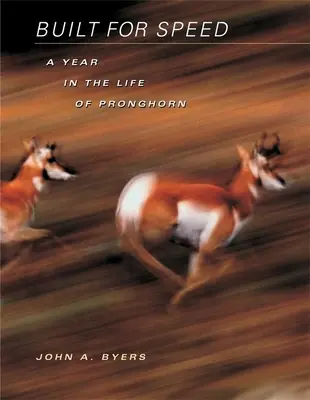 Construit pentru viteză: Un an din viața lui Pronghorn - Built for Speed: A Year in the Life of Pronghorn
