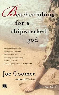 Beachcombing pentru un Dumnezeu naufragiat - Beachcombing for a Shipwrecked God