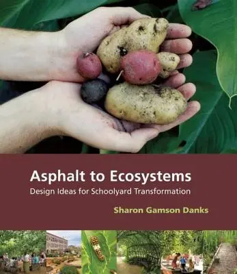 De la asfalt la ecosisteme: Idei de proiectare pentru transformarea curților școlilor - Asphalt to Ecosystems: Design Ideas for Schoolyard Transformation