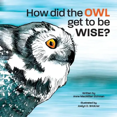 Cum a ajuns bufnița să fie înțeleaptă - How Did the Owl Get to Be Wise