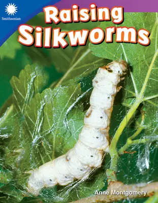 Creșterea viermilor de mătase - Raising Silkworms