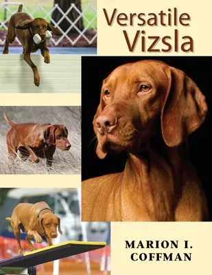Versatil Vizsla - Versatile Vizsla