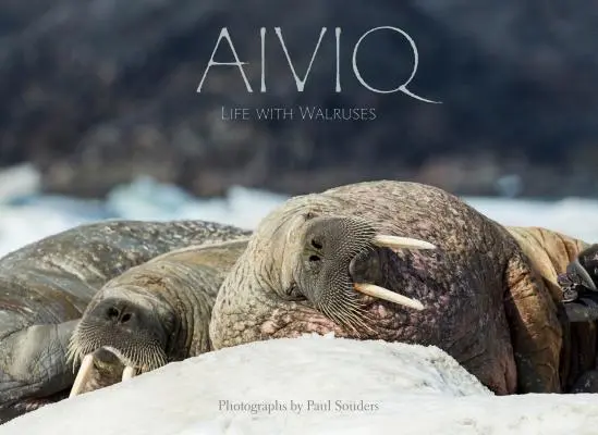 Aiviq: Viața cu morsele - Aiviq: Life with Walruses