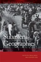 Geografii subalterne - Subaltern Geographies