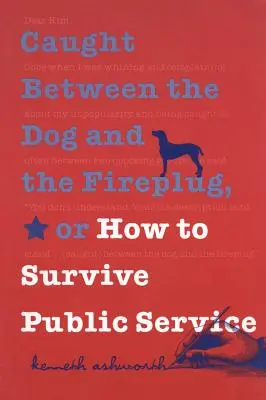 Prins între câine și ștecher, sau cum să supraviețuiești în serviciul public - Caught Between the Dog and the Fireplug, or How to Survive Public Service