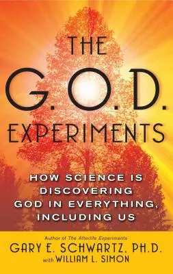 Experimentele G.O.D.: Cum îl descoperă știința pe Dumnezeu în toate, inclusiv în noi - The G.O.D. Experiments: How Science Is Discovering God in Everything, Including Us