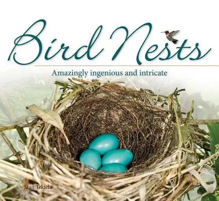 Bird Nests: Uimitor de ingenioase și complicate - Bird Nests: Amazingly Ingenious and Intricate