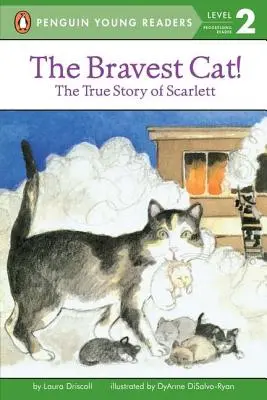 Cea mai curajoasă pisică! - The Bravest Cat!