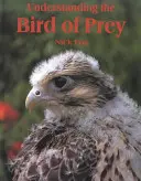 Înțelegerea păsărilor de pradă - Understanding the Bird of Prey