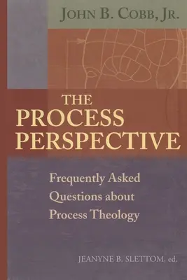 Perspectiva procesului - The Process Perspective