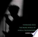 Turquoise Days: Lumea ciudată a lui Echo & the Bunnymen - Turquoise Days: The Weird World of Echo & the Bunnymen