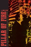Stâlp de foc: O biografie a lui Stephen S. Wise - Pillar of Fire: A Biography of Stephen S. Wise