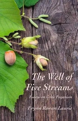 Fântâna celor cinci izvoare - The Well of Five Streams