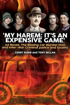 Haremul meu: Este un joc costisitor - My Harem: It's an Expensive Game