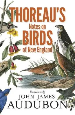 Însemnările lui Thoreau despre păsările din Noua Anglie - Thoreau's Notes on Birds of New England