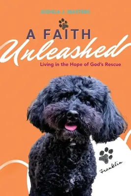 O credință dezlănțuită: Trăind în speranța salvării lui Dumnezeu - A Faith Unleashed: Living in the Hope of God's Rescue