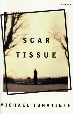 Țesut cicatrizat - Scar Tissue