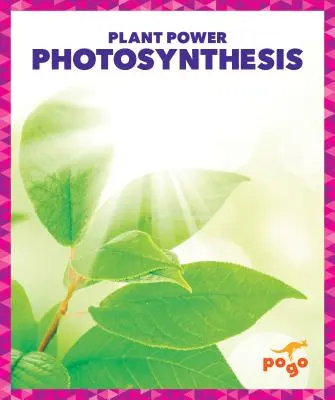 Fotosinteza - Photosynthesis
